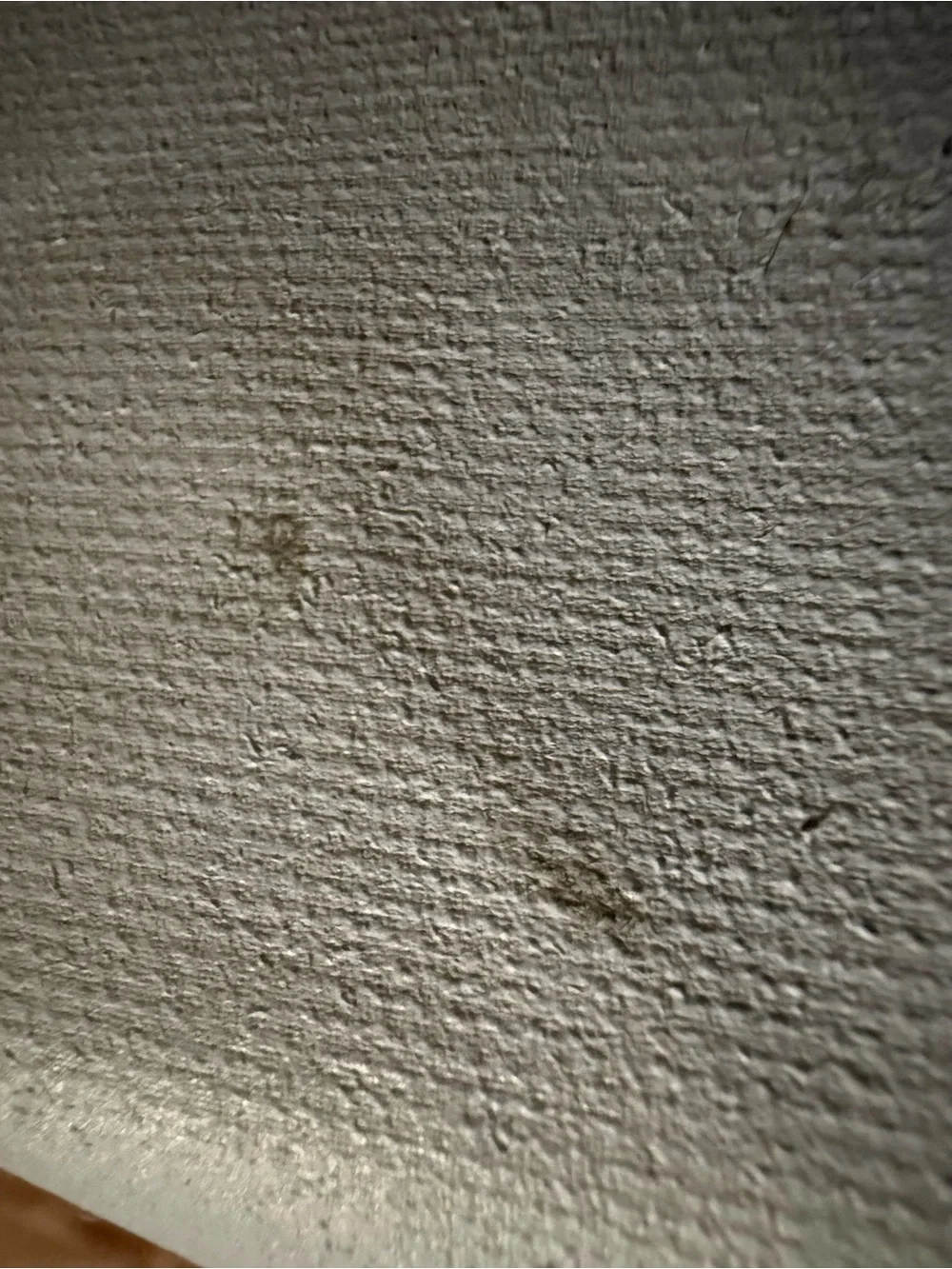 Farmhouse Fresh Canvas Zip Pouch in Blue and White